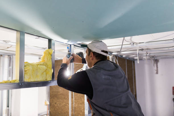 Best Eco-Friendly Insulation in Sayre, PA